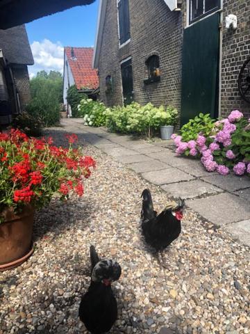 B&B De Beijersche Stee, Logies Aan De Waterkant Stolwijk 외부 사진