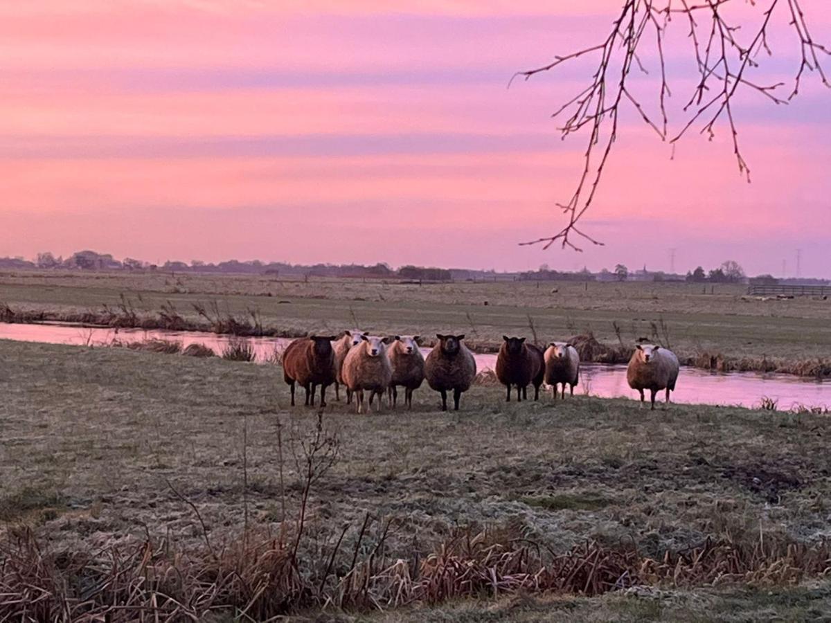 B&B De Beijersche Stee, Logies Aan De Waterkant Stolwijk 외부 사진